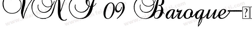 VNI 09 Baroque字体转换